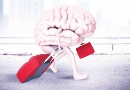 Yurt dışına göç eden gençlerin sayısı yüzde 70 arttı