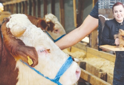 Yurt dışından gelen hayvanlar kontrol altında tutulmalı