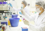 Yurt dışından gelenlerin "PCR testi ibrazı zorunluluğu" uygulaması devam edecek