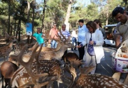 Yüzde 75 doğurganlık oranıyla Avrupa’da birinci
