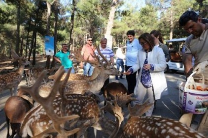 Yüzde 75 doğurganlık oranıyla Avrupa&#8217;da birinci