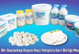 Yüzde 7-12 arasında fiyat indirimine gidildi