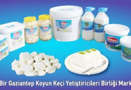 Yüzde 7-12 arasında fiyat indirimine gidildi