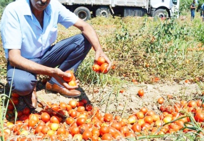 Yüzlerce çiftçi malını satamadı, yüzbinlerce kilogram ürün israf oldu