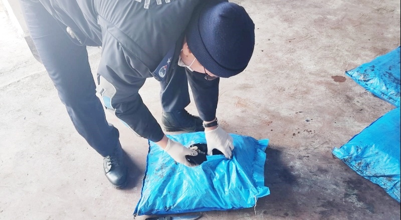 Zabıta ekipleri, 70 ton kaçak kömüre el koydu