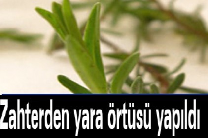 Zahterden yara örtüsü yapıldı