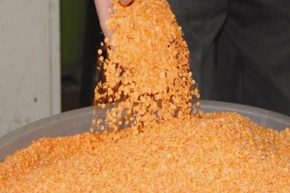 Zam şampiyonu oldu