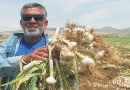 Zaten başka şeye de gerek yok!!! 