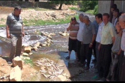 Zehirli atıklar borulara nereye taşınacak?