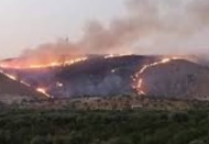 Zergil Dağı’ndaki yangın söndürüldü