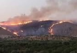Zergil Dağı’ndaki yangın söndürüldü