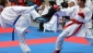 Zeugma Karate Şampiyonası düzenlendi
