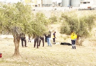 Zeytin ağacından düşen yaşlı adam hayatını kaybetti