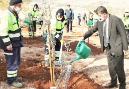 Zeytin, badem ve çam fidanlarına can suyu verildi