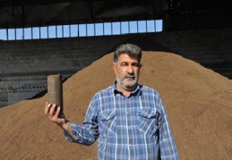 Zeytin "enerji"siyle de ekonomiye katkı sağlıyor