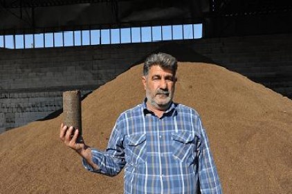 Zeytin "enerji"siyle de ekonomiye katkı sağlıyor