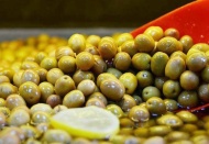 Zeytin hasadı salgın sebebiyle sekteye uğradı