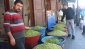 Zeytin rekoltemiz düştü
