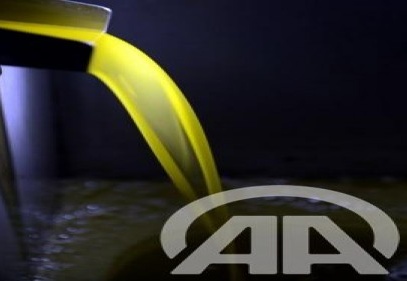 Zeytin ve zeytinyağı üretiminde ikinciliğe oynuyoruz