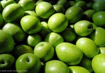 Zeytincilik Sektörü, 5. Bölge Teşvik Sistemi’ne alınmayı hak ediyor