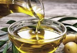 "Zeytincilik sektöründe 500 bine yakın aile geçimini sağlıyor"