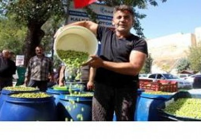 Zeytinin fiyatı 2 kat arttı