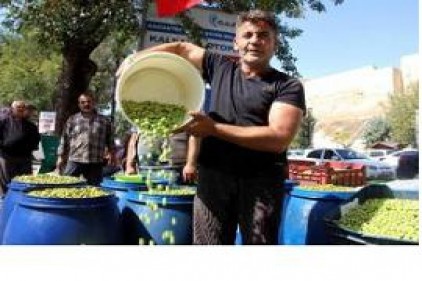 Zeytinin fiyatı 2 kat arttı