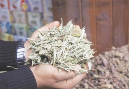 Zeytinin yaprağıda her derde deva