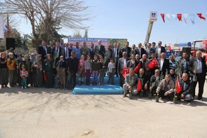 Zeytinli Mahallesi&#8217;nde zeytin fidanı dağıtıldı