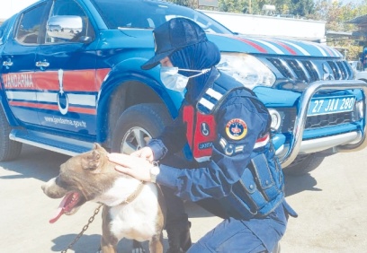 Zincirle otomobilin arkasına bağlanan köpeği jandarma kurtardı
