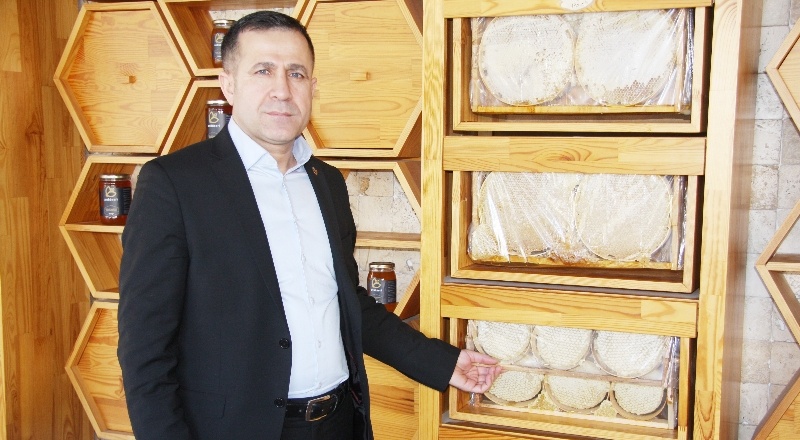 Zirai ilaç kullanımı nedeniyle yılda 400 bin arı kovanı telef oluyor