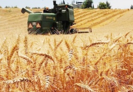 ZMO Başkanı Suiçmez: Stoktaki arpa, buğday, yağ şeffaf bir şekilde açıklanmalı