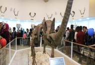 Zooloji ve Doğa Müzesi açıldı