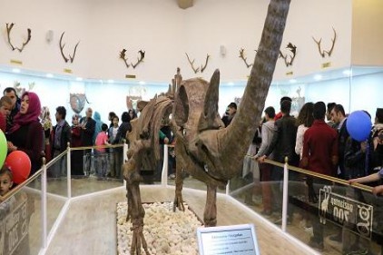 Zooloji ve Doğa Müzesi açıldı