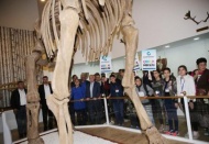 Zooloji ve Doğa Müzesi özellikle çocukların ilgisini çekiyor