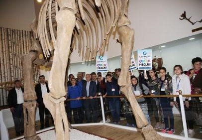 Zooloji ve Doğa Müzesi özellikle çocukların ilgisini çekiyor